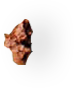 miga3